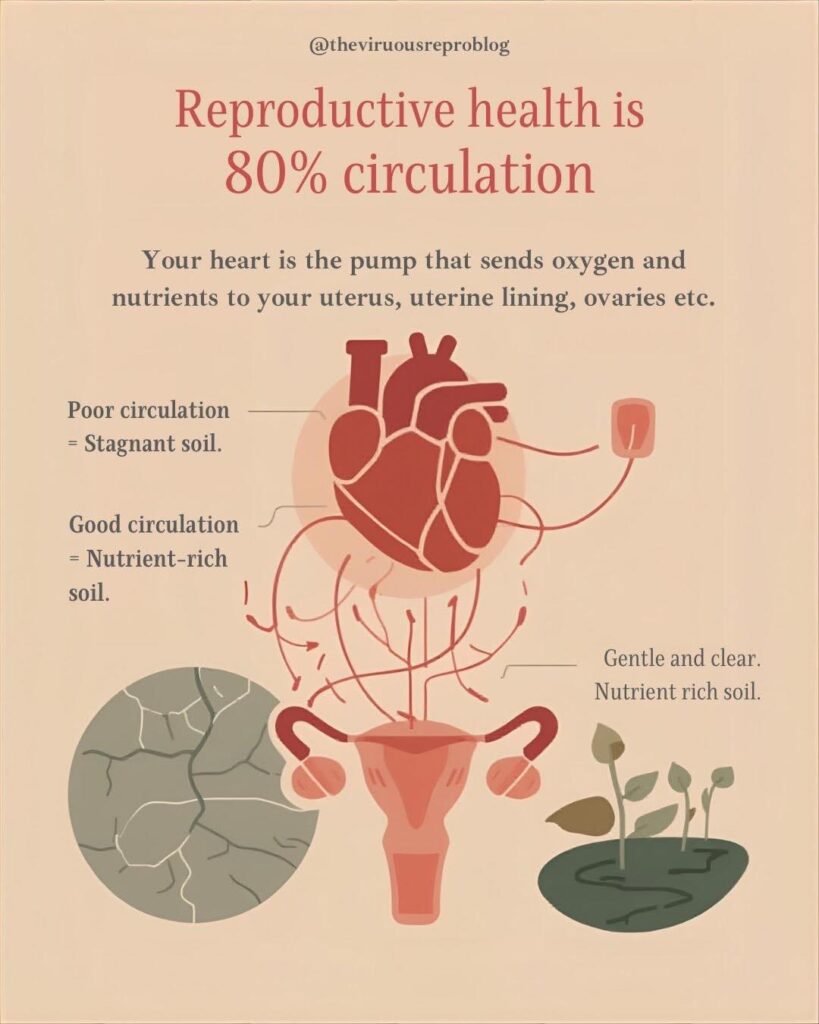 whatsapp image 2026 02 08 at 15.42.55