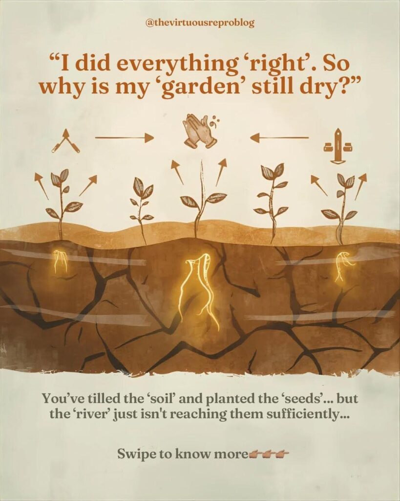 whatsapp image 2026 02 08 at 15.43.05 (1)