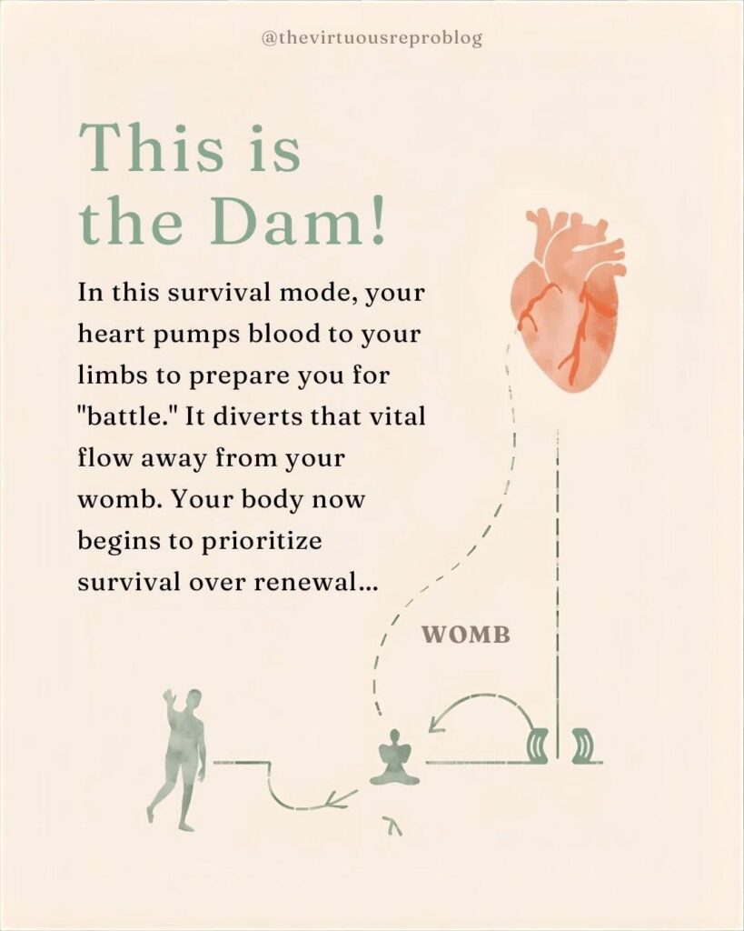 whatsapp image 2026 02 08 at 15.43.06 (1)