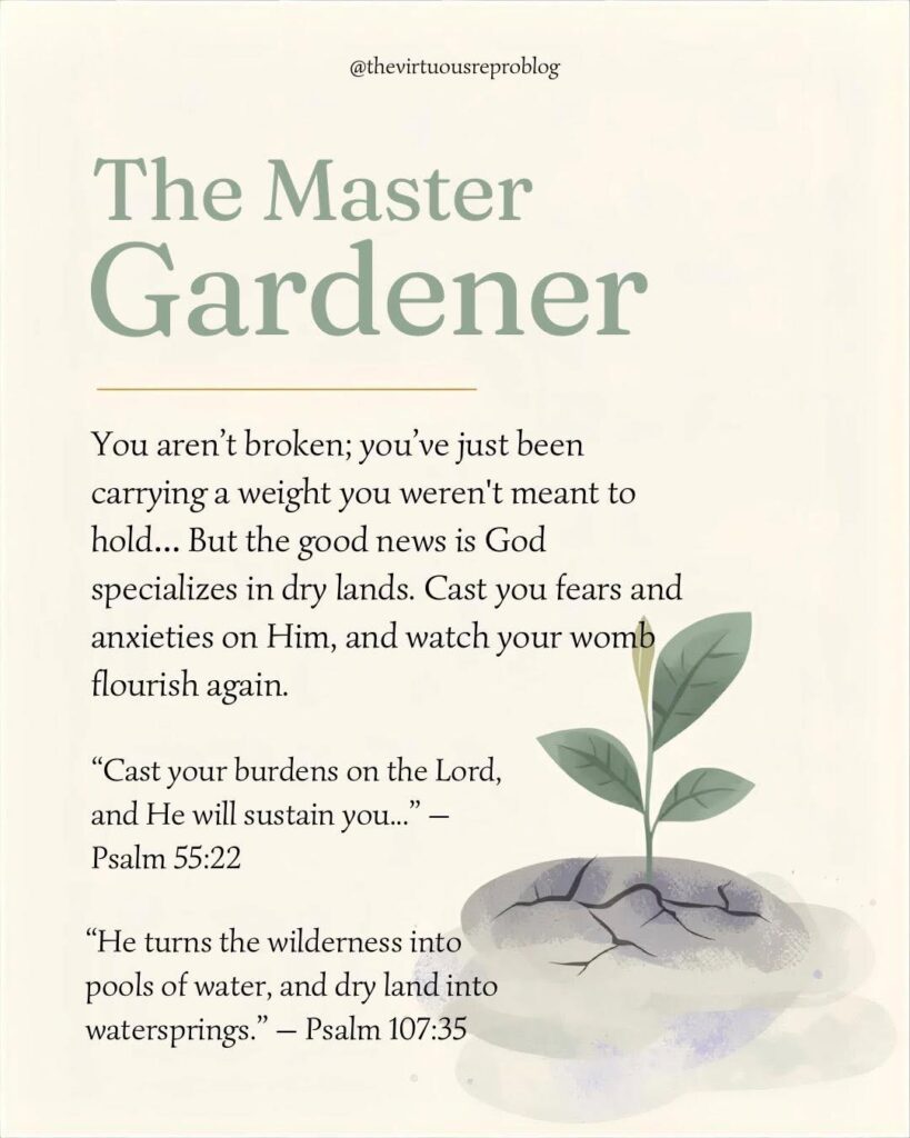 whatsapp image 2026 02 08 at 15.43.06 (2)