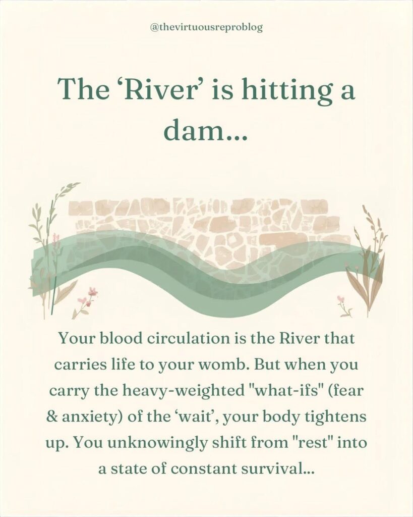 whatsapp image 2026 02 08 at 15.43.06