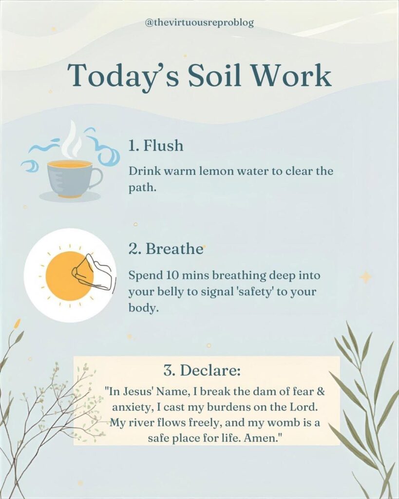 whatsapp image 2026 02 08 at 15.43.08