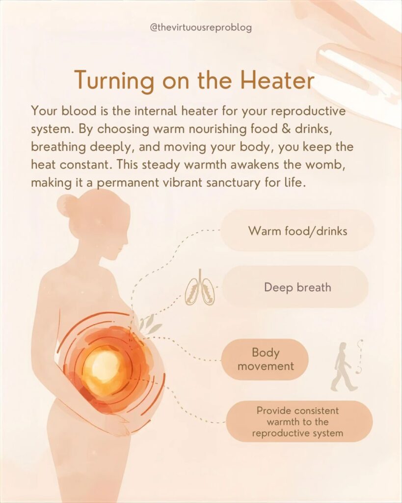 whatsapp image 2026 02 11 at 19.41.28 (2)