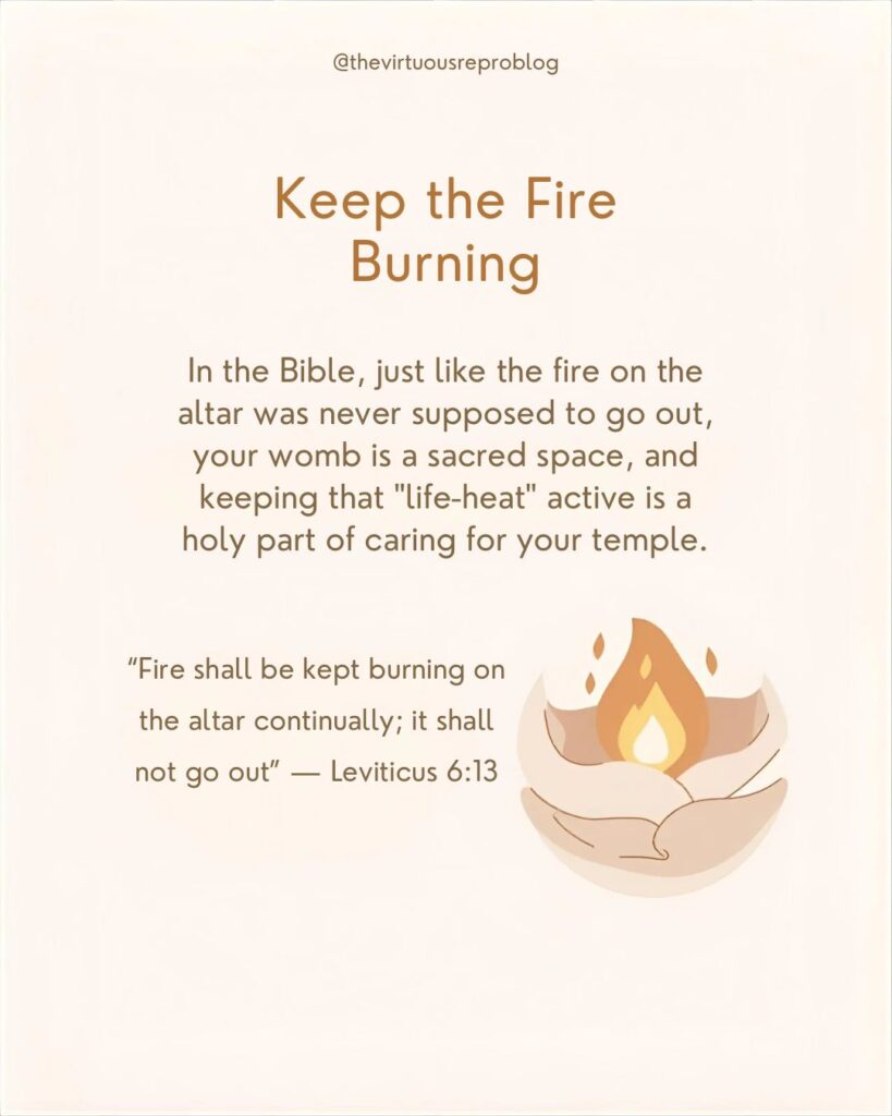 whatsapp image 2026 02 11 at 19.41.28 (3)