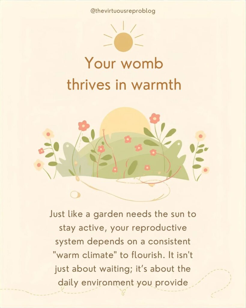 whatsapp image 2026 02 11 at 19.41.28