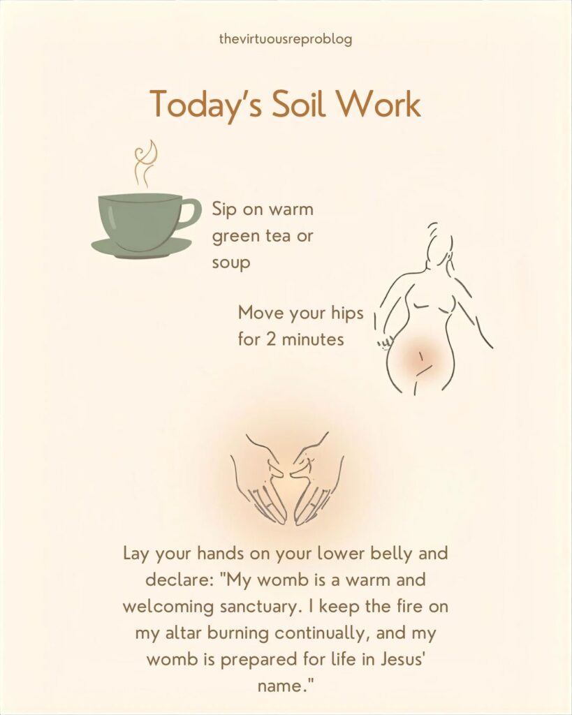 whatsapp image 2026 02 11 at 19.41.29