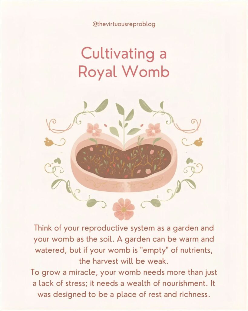 whatsapp image 2026 02 15 at 17.06.10