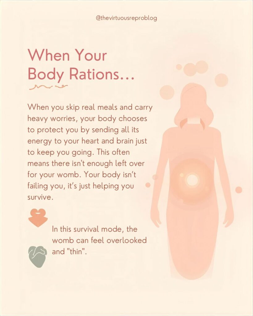 whatsapp image 2026 02 15 at 17.06.15