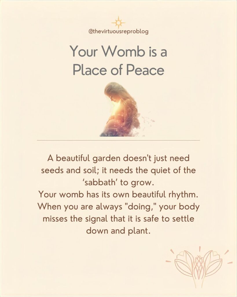 whatsapp image 2026 02 17 at 17.24.06