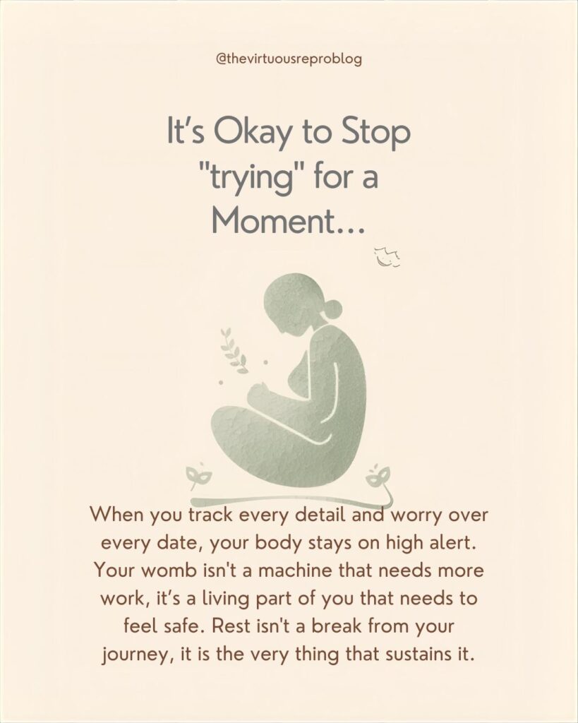 whatsapp image 2026 02 17 at 17.24.11