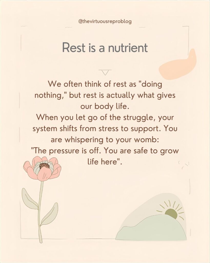 whatsapp image 2026 02 17 at 17.24.18