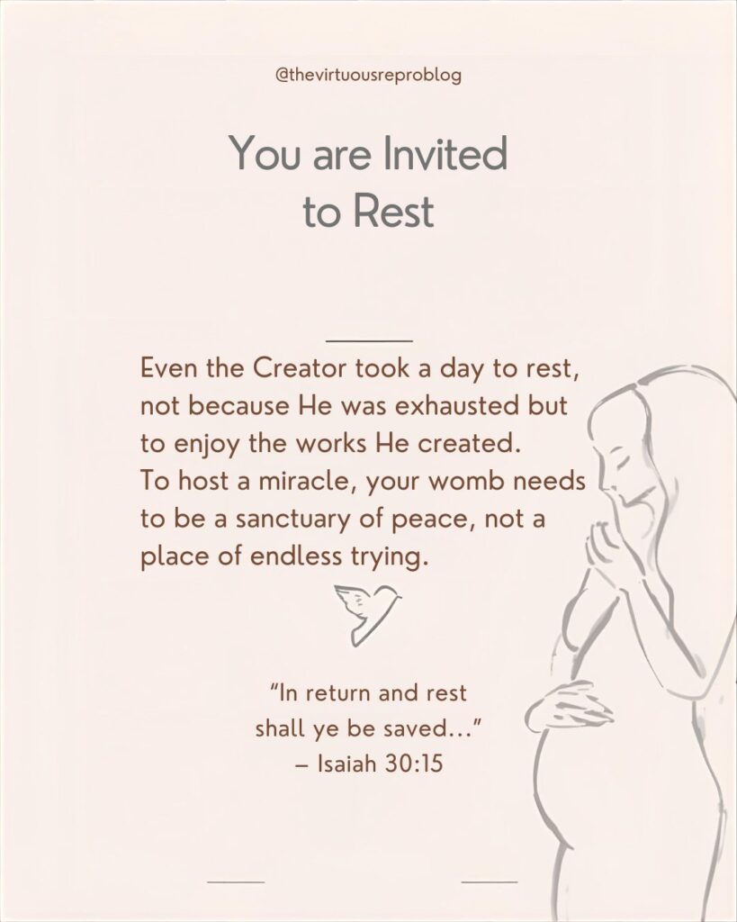 whatsapp image 2026 02 17 at 17.24.21