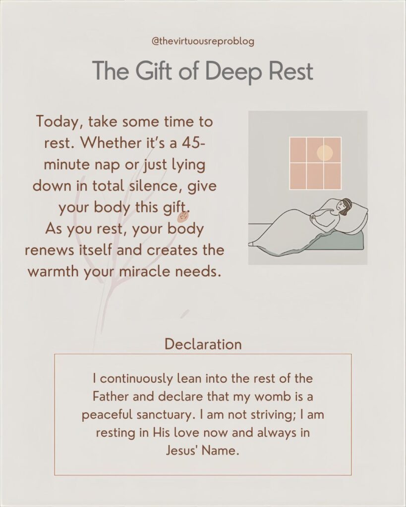 whatsapp image 2026 02 17 at 17.24.24