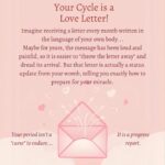 whatsapp image 2026 02 25 at 11.57.02