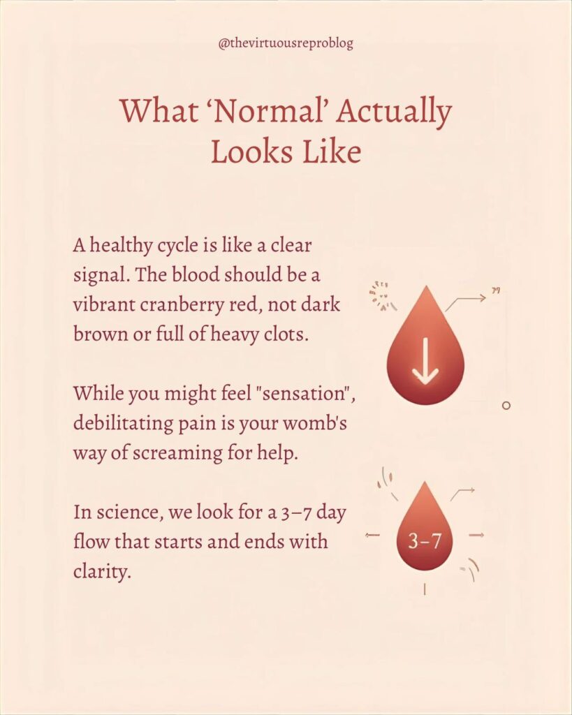 whatsapp image 2026 02 25 at 11.57.07