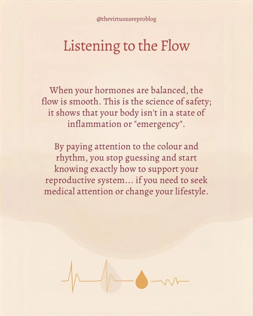 whatsapp image 2026 02 25 at 11.57.12