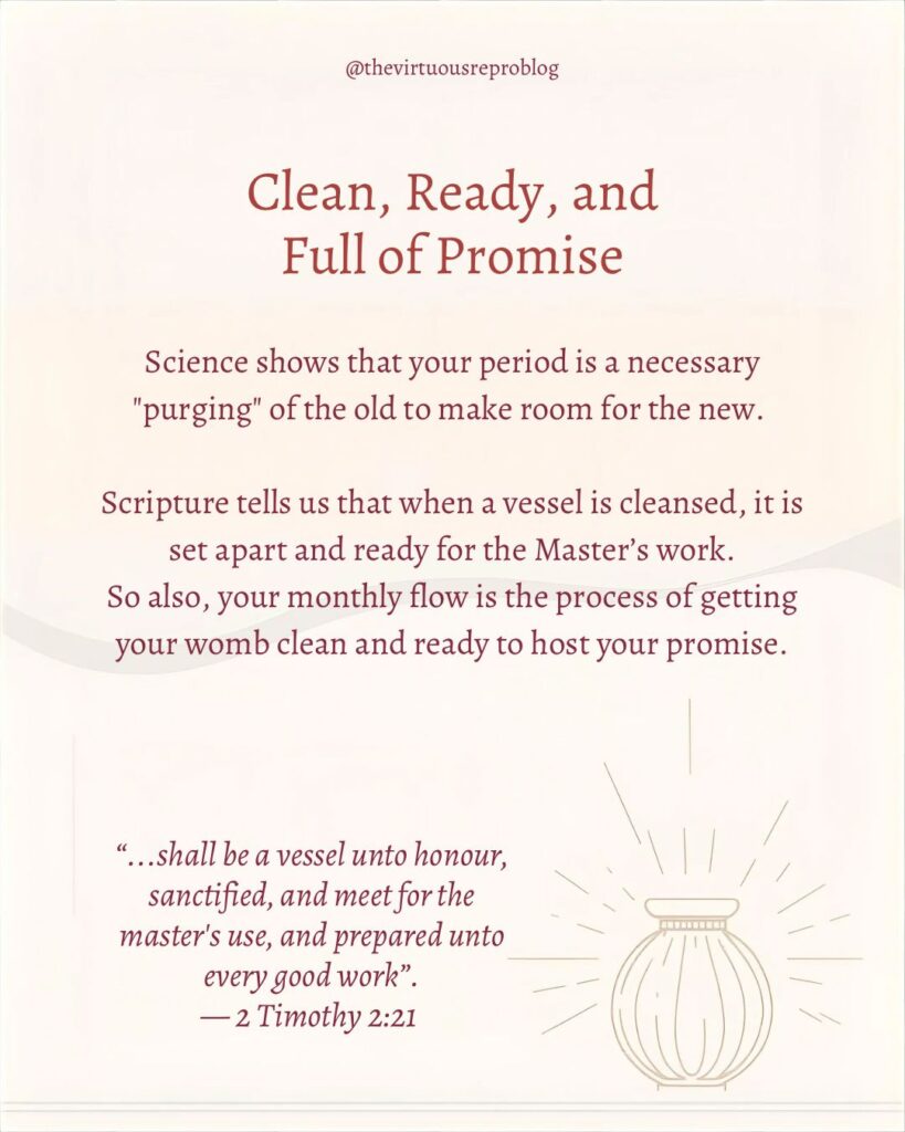 whatsapp image 2026 02 25 at 11.57.17