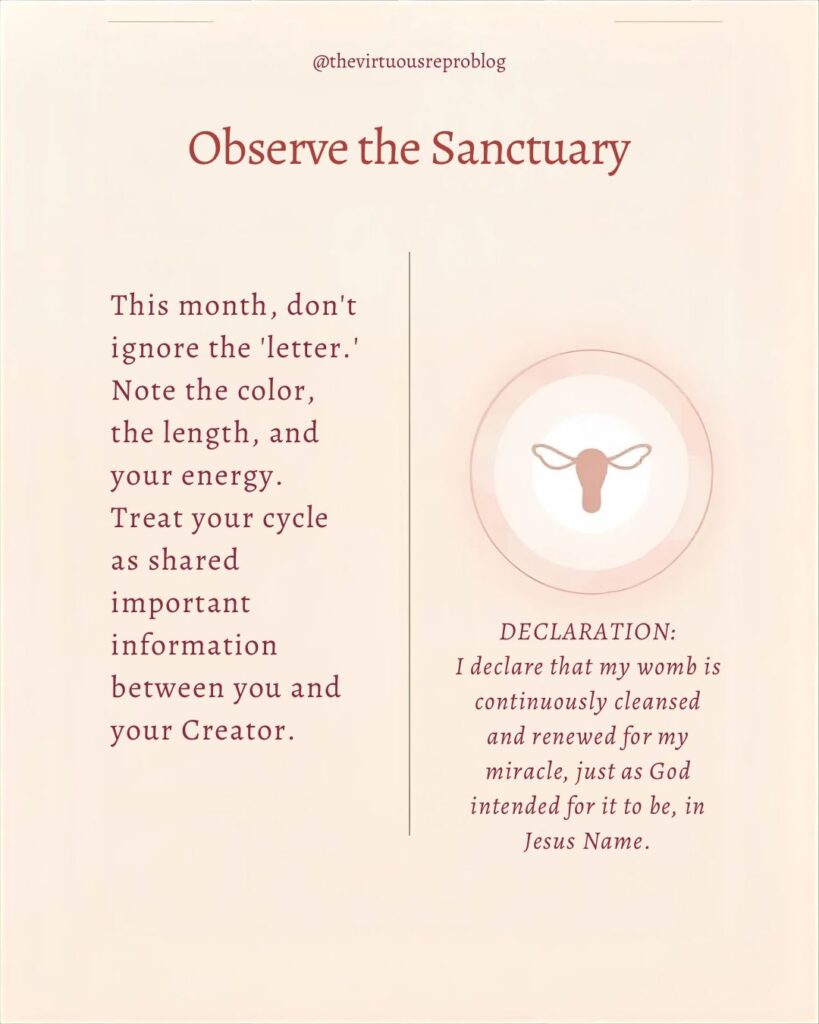 whatsapp image 2026 02 25 at 11.57.21