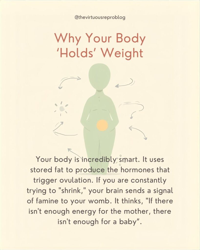 whatsapp image 2026 02 27 at 17.38.16