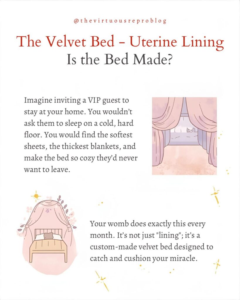 whatsapp image 2026 02 27 at 17.38.41