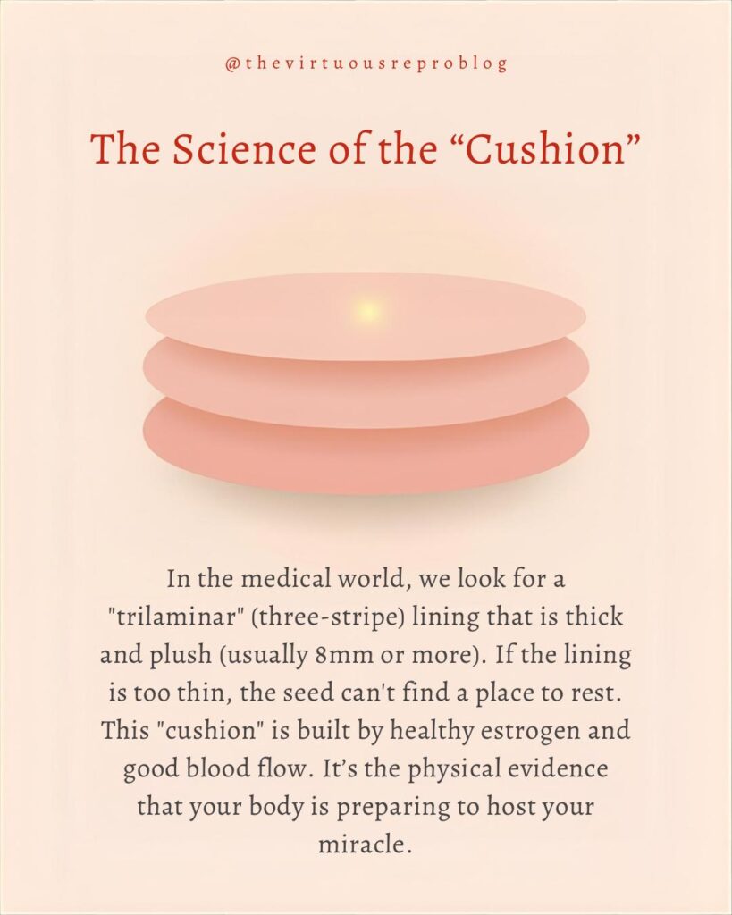 whatsapp image 2026 02 27 at 17.38.46