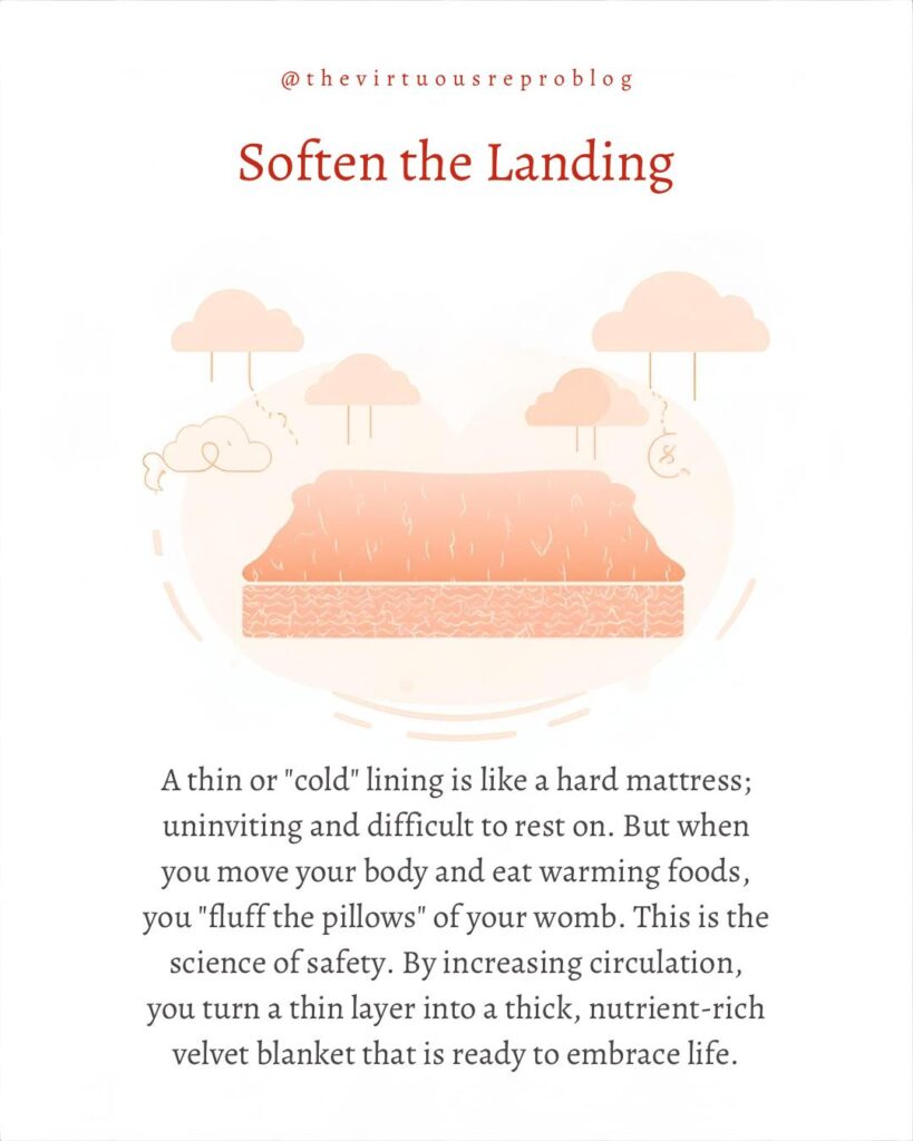 whatsapp image 2026 02 27 at 17.38.52