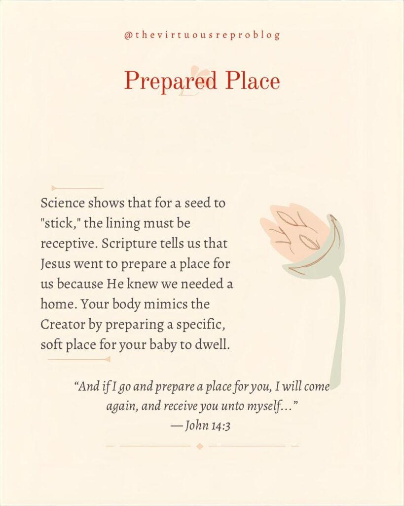 whatsapp image 2026 02 27 at 17.38.55