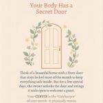 whatsapp image 2026 03 09 at 15.11.23