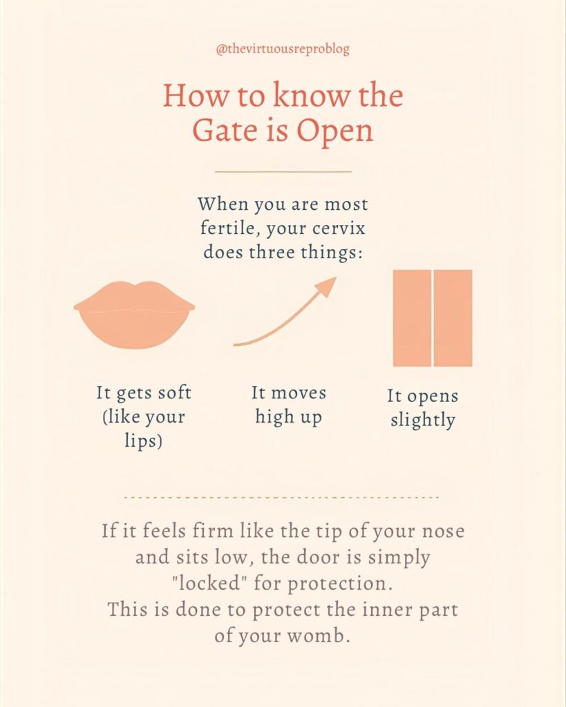 whatsapp image 2026 03 09 at 15.11.26