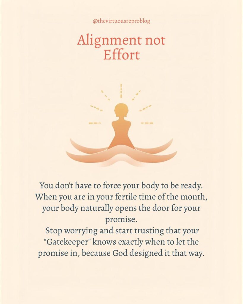 whatsapp image 2026 03 09 at 15.11.33