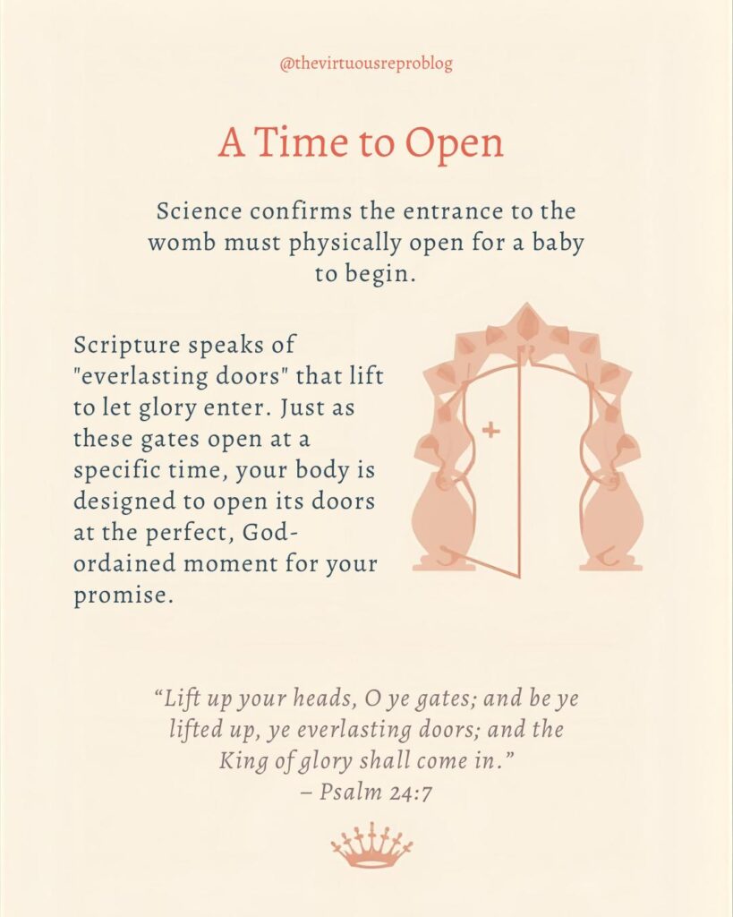 whatsapp image 2026 03 09 at 15.11.38