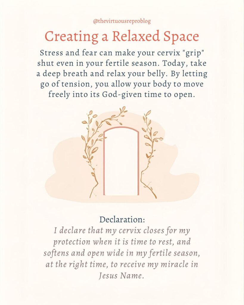 whatsapp image 2026 03 09 at 15.11.41