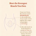 whatsapp image 2026 03 09 at 15.32.29