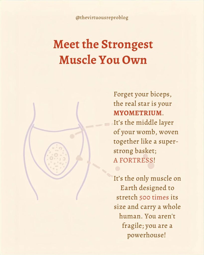 whatsapp image 2026 03 09 at 15.32.29