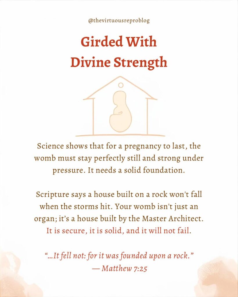 whatsapp image 2026 03 09 at 15.32.36